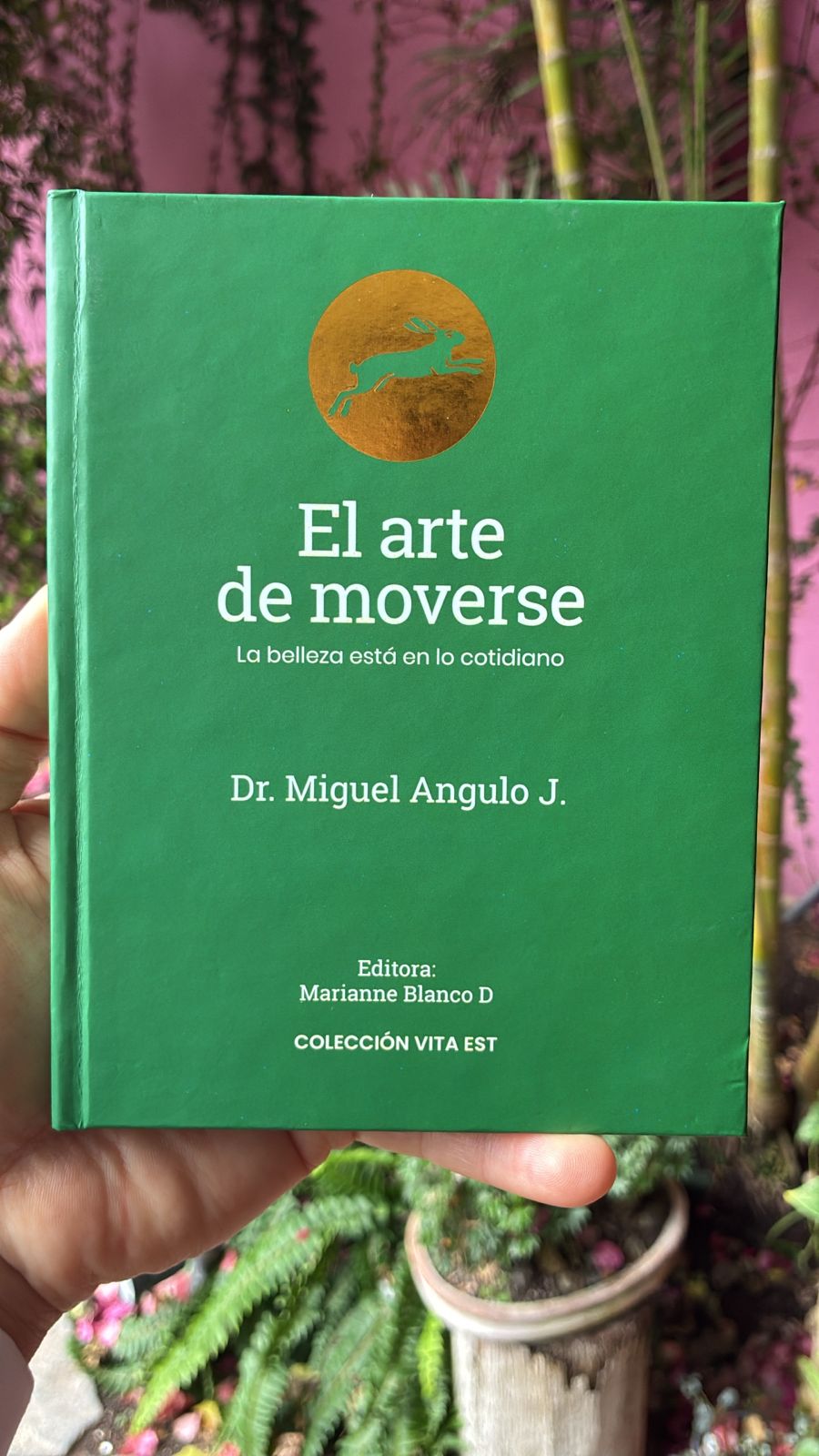 El Arte de Moverse — Dr. Miguel Angulo